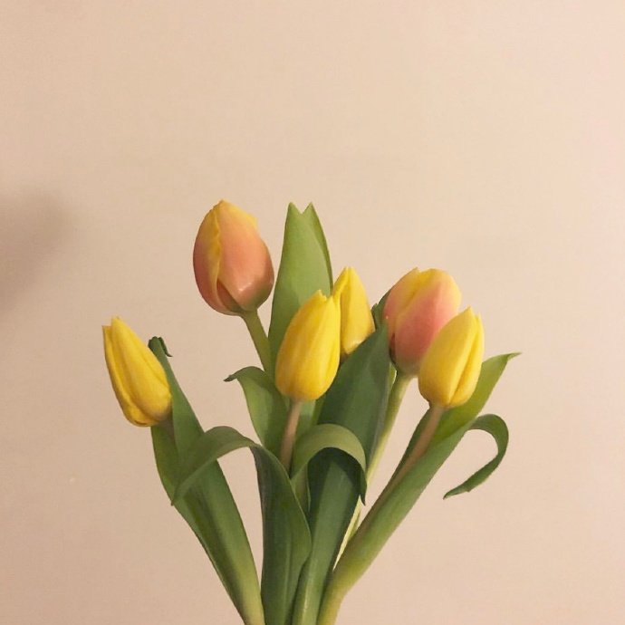 平安夜文案20句，愿人间芳华，岁岁皆安