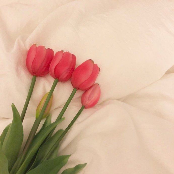 平安夜文案20句，愿人间芳华，岁岁皆安