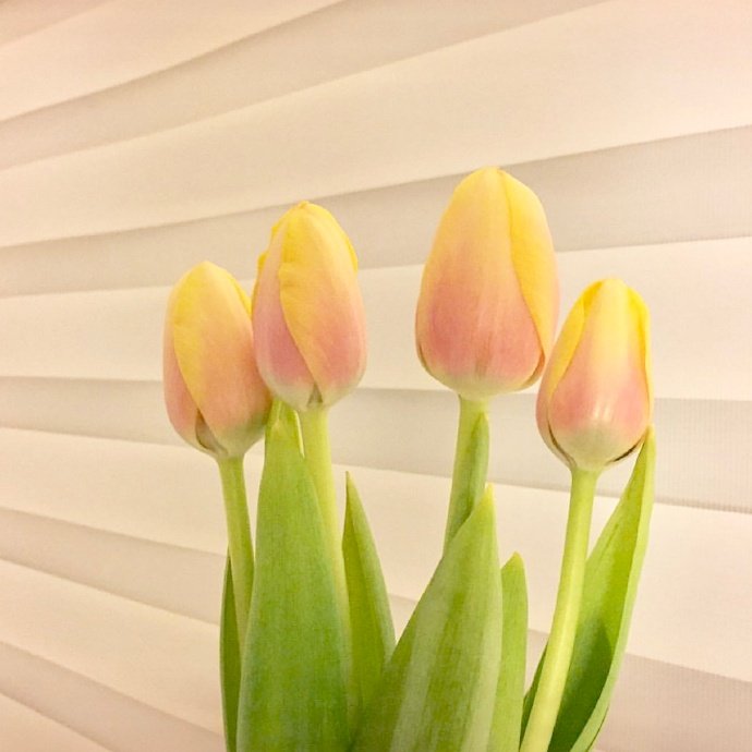 平安夜文案20句，愿人间芳华，岁岁皆安