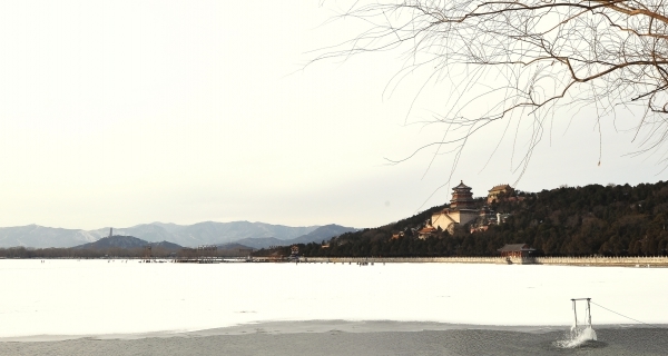 小寒诗词15首，带来冬天的希望与烂漫