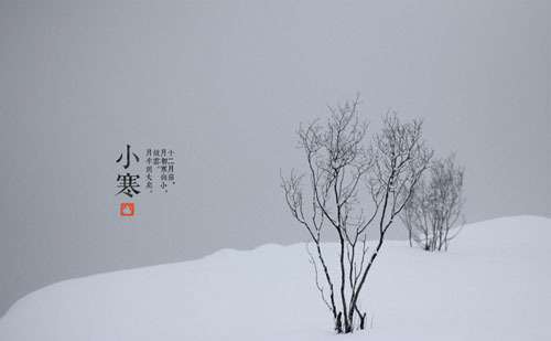 小寒诗词15首，带来冬天的希望与烂漫