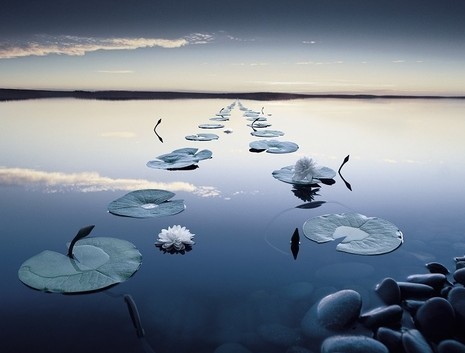 小寒诗词15首，带来冬天的希望与烂漫