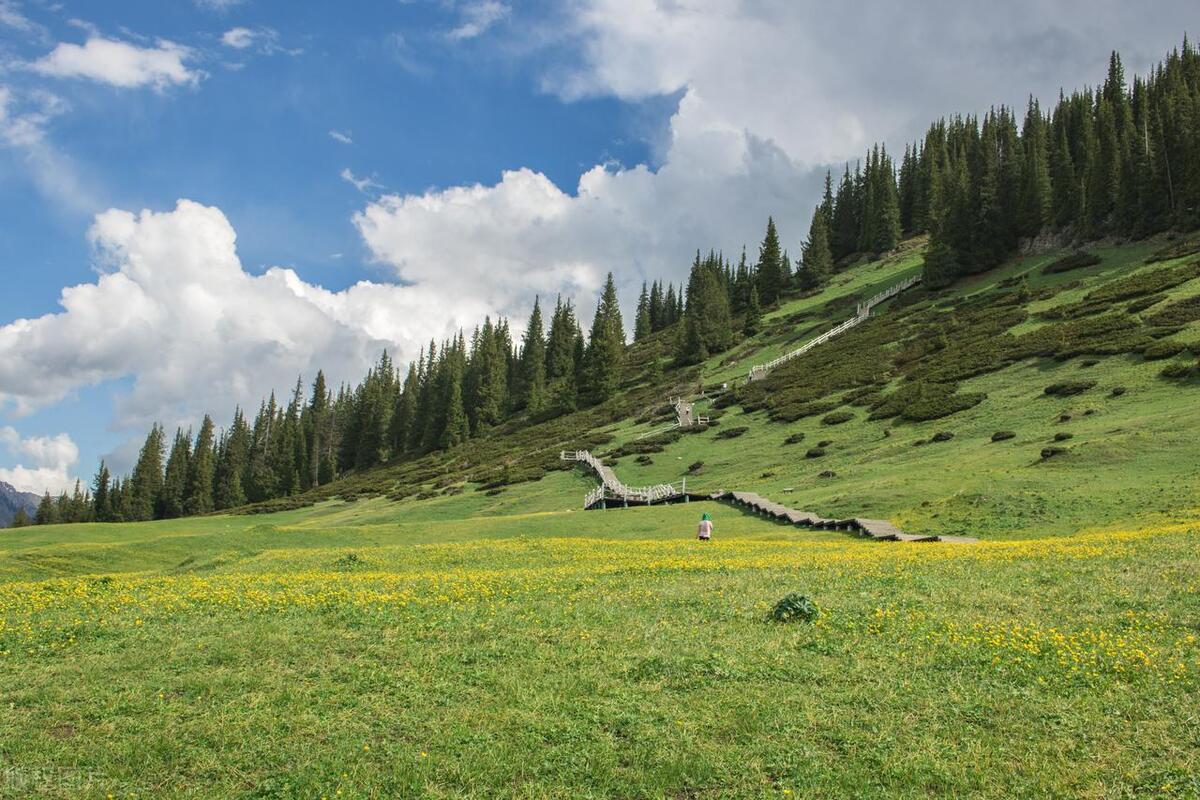 石灰吟于谦（原文及解析）
