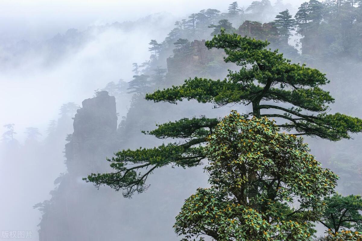 石灰吟于谦（原文及解析）