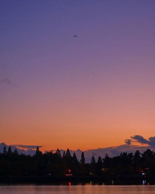 感悟生活的经典句子20句，句句走心，句句通透