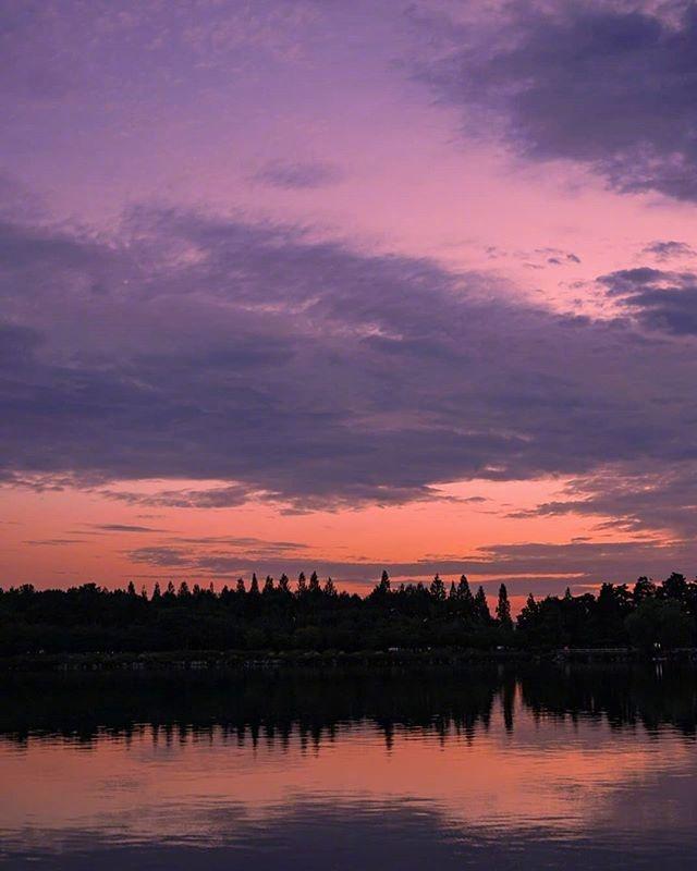 感悟生活的经典句子20句，句句走心，句句通透