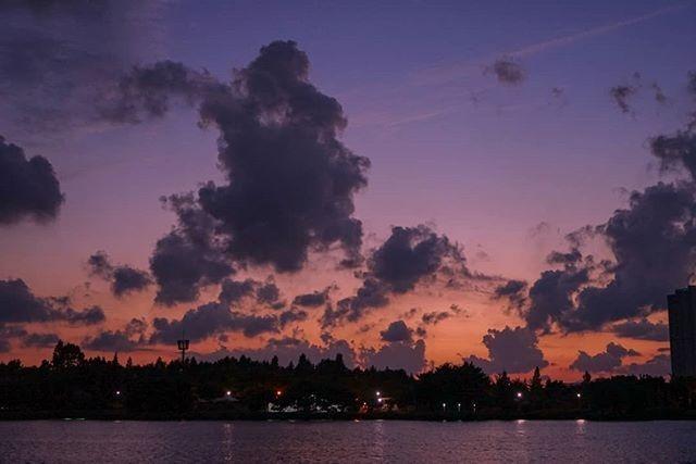 感悟生活的经典句子20句，句句走心，句句通透