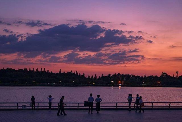 感悟生活的经典句子20句，句句走心，句句通透