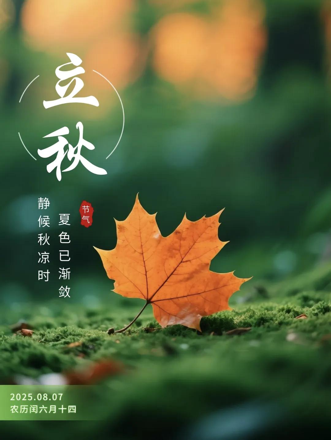 立秋的句子短句唯美30句，一叶落，而知天下秋