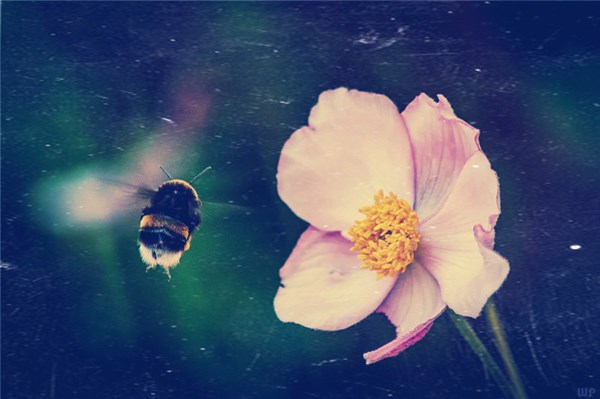 现实又很扎心的句子12句，句句精辟入骨