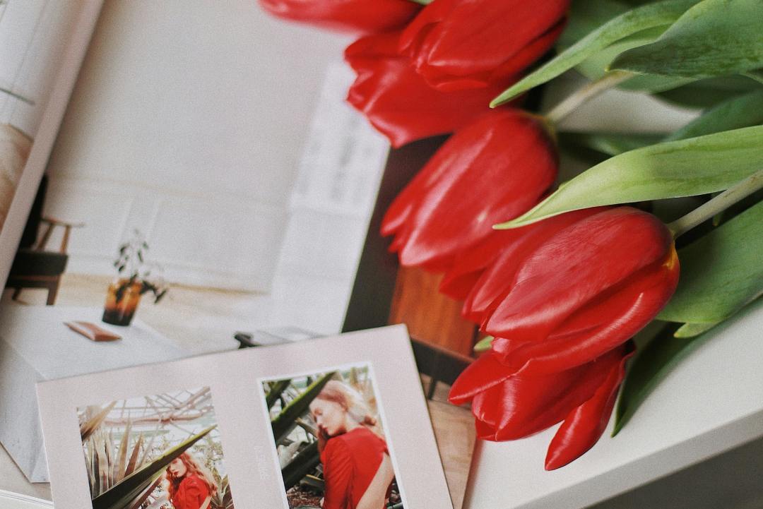 教师节祝福语41句，感谢您提灯引路，育梦成光