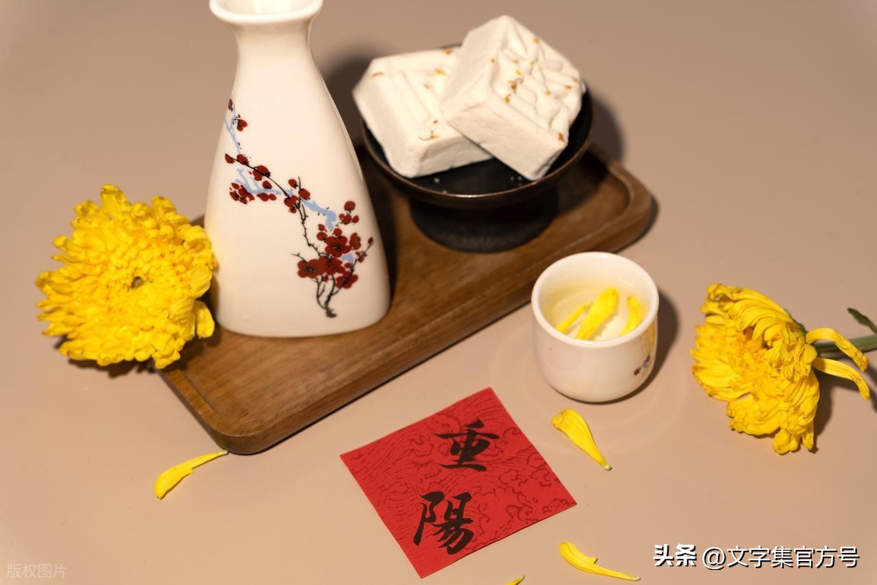 重阳节朋友圈文案20句，九九重阳享安康