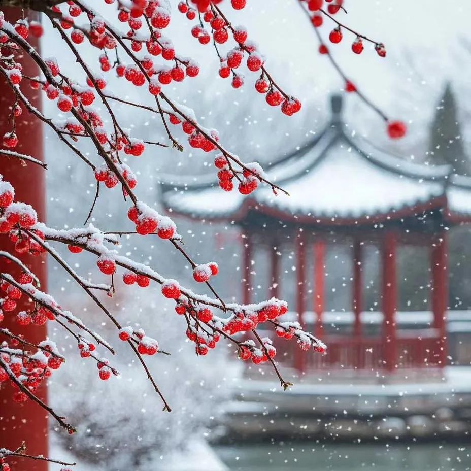 12月文案20句，温暖治愈，直抵心灵