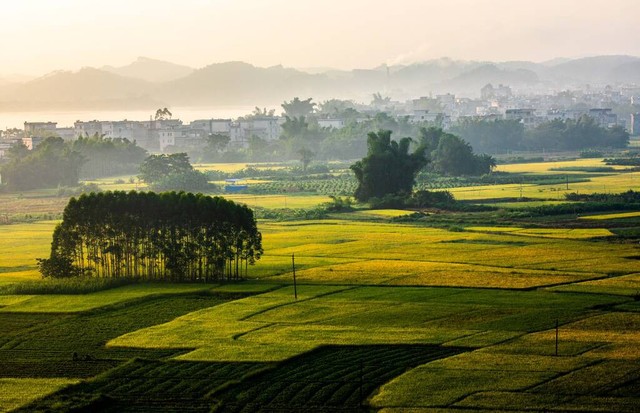 田园风光的文案20句，来一场浪漫的田园之约!