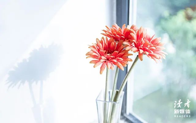 杨绛名言10句，藏着一生的智慧