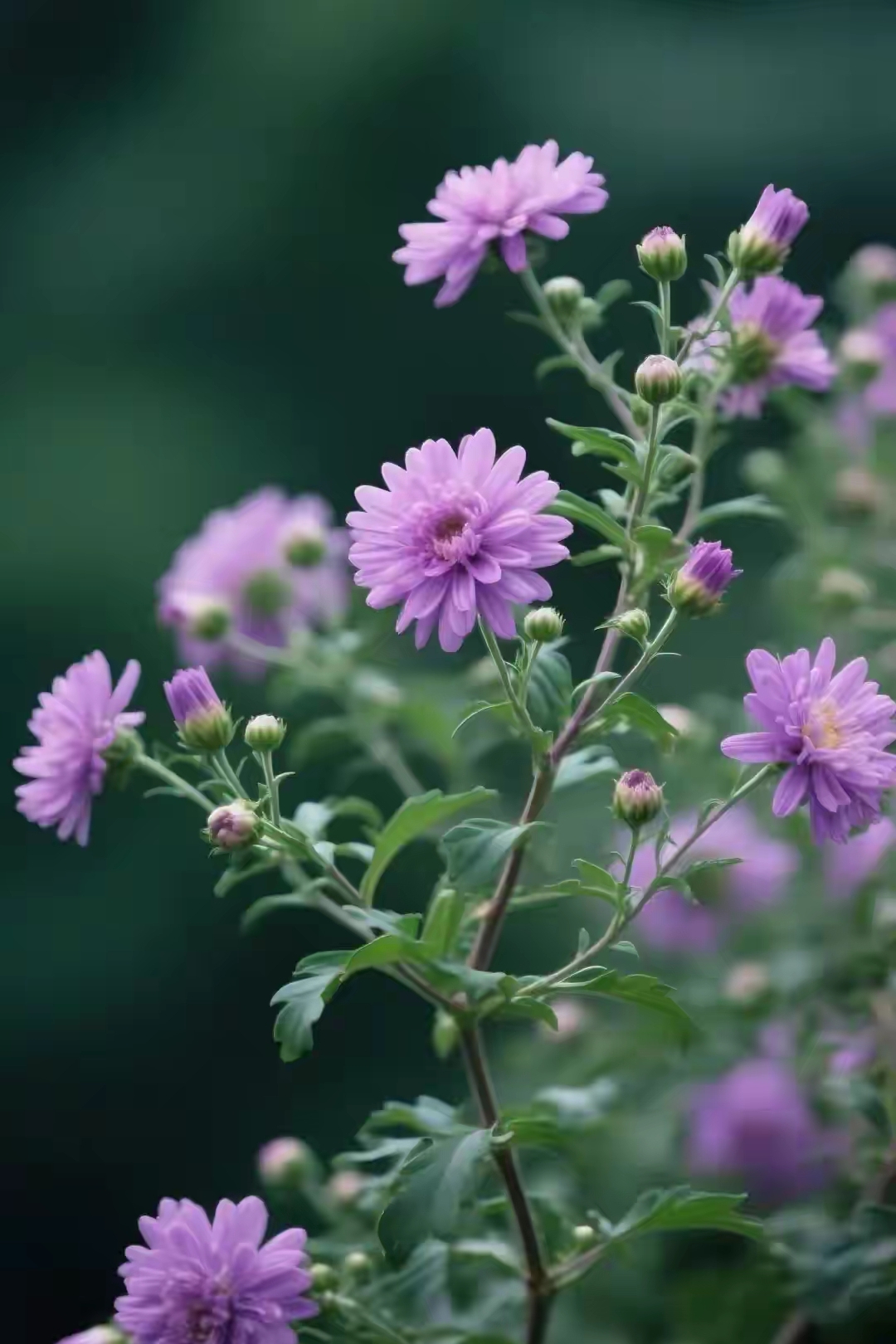 打动人心的话16句，每一次相遇都是最美的风景