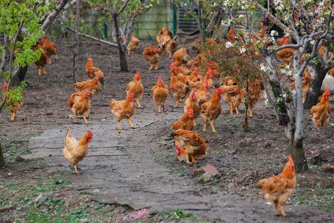 孟浩然的古诗10首，旷古绝今！