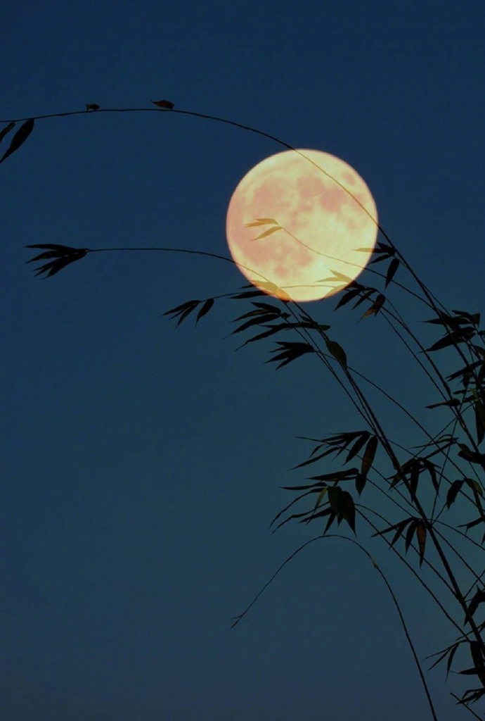 张继的诗10首，值得收藏细品