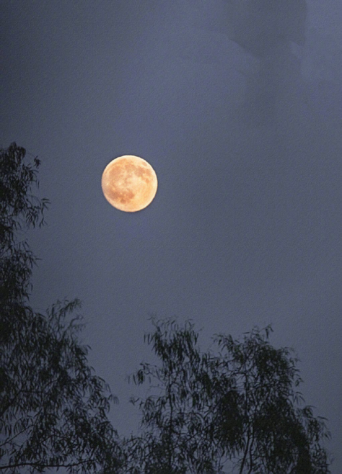 张继的诗10首，值得收藏细品