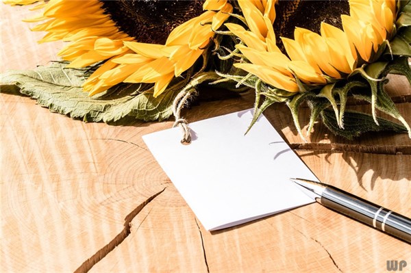 早上好问候语温馨短句10句，温暖阳光，一秒倾心