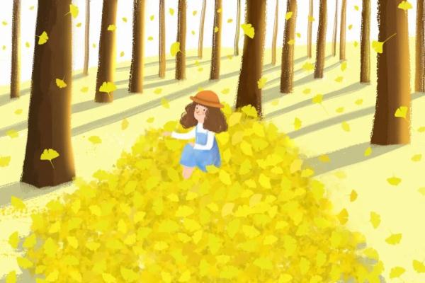 唯美诗句30句，给你想要的诗情画意!