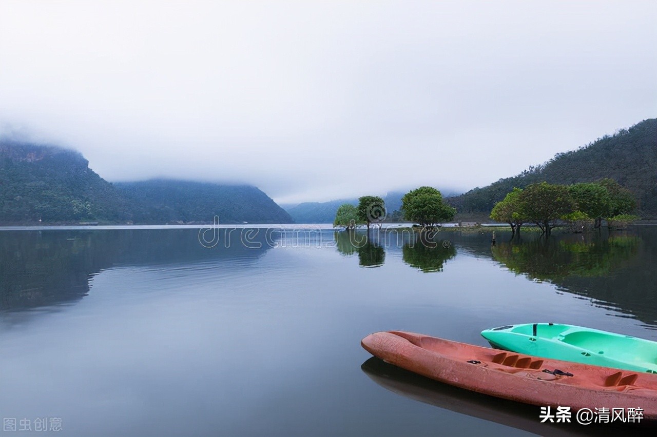 油菜花开的句子唯美15句，油菜花像云霞，如梦如织