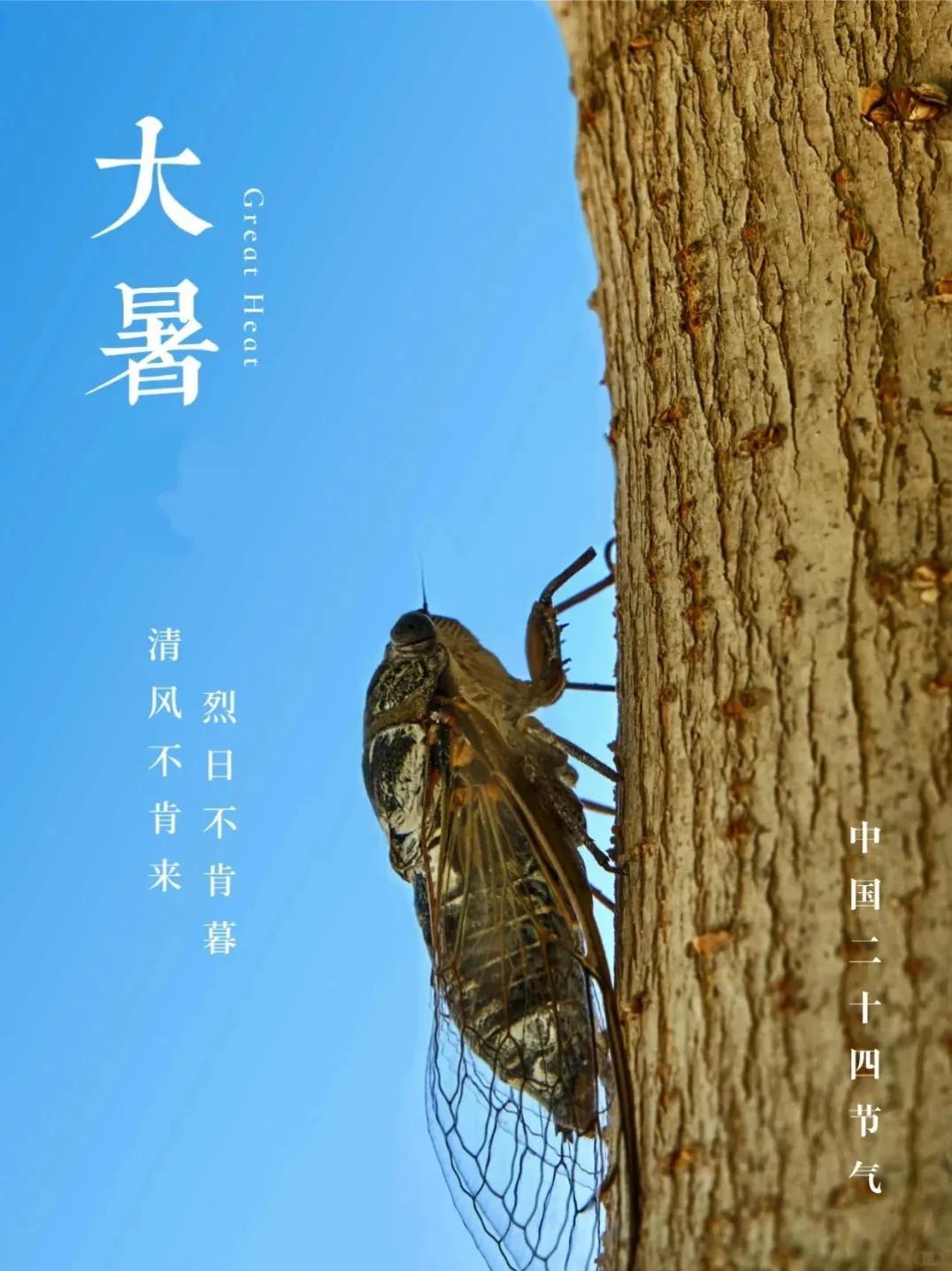 大暑文案30句，盼暑去风来，愿岁月长安