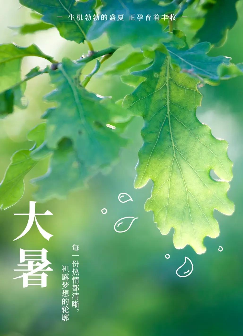 大暑文案30句，盼暑去风来，愿岁月长安