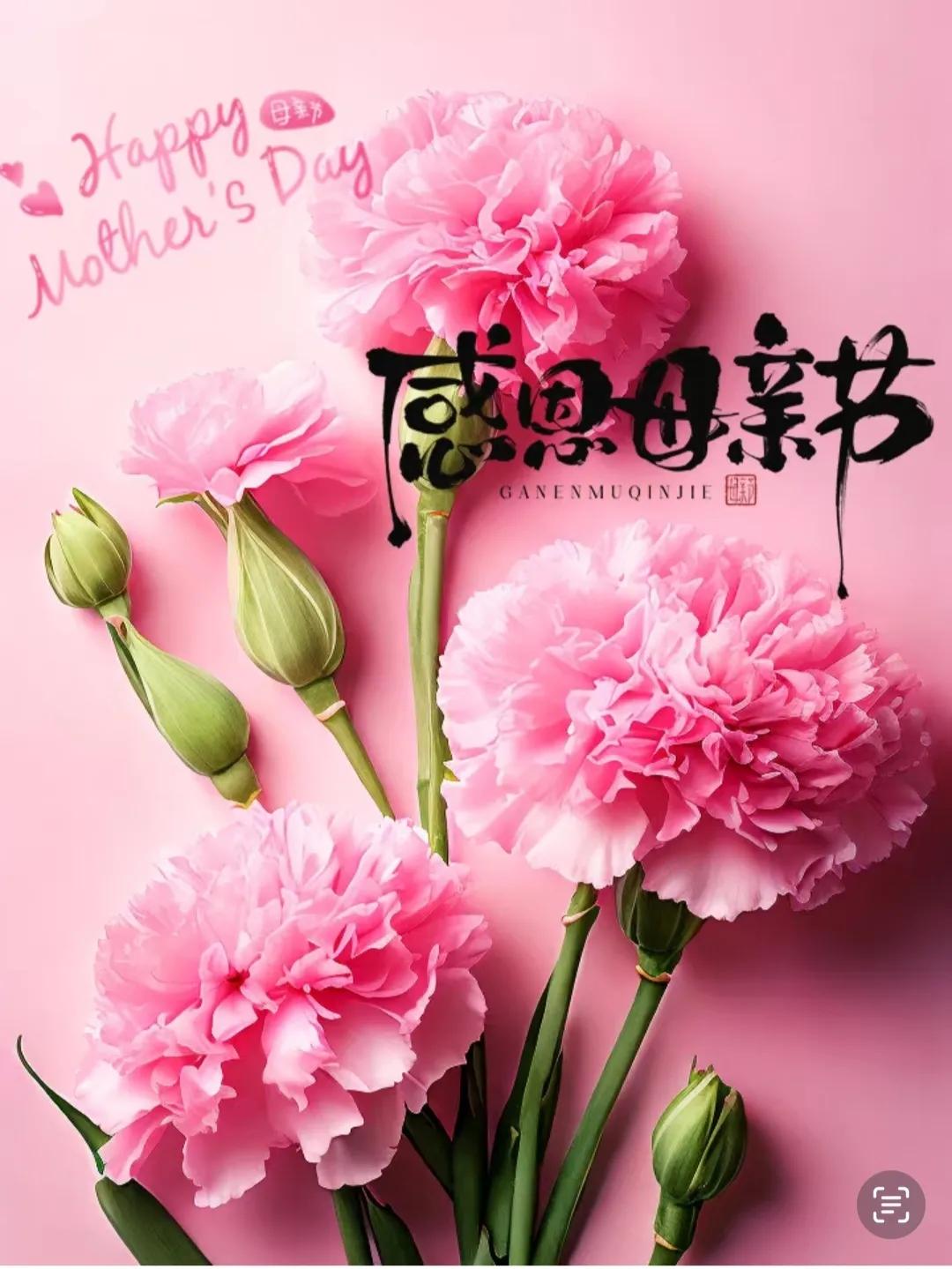 关于母亲节的文案30句，句句爱意满满