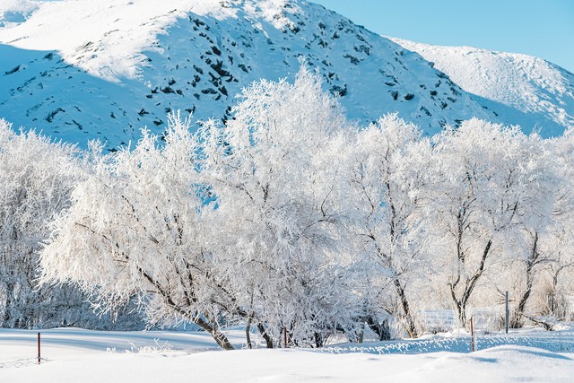 关于雪的浪漫句子10句，盼雪暖人间，岁月自安然
