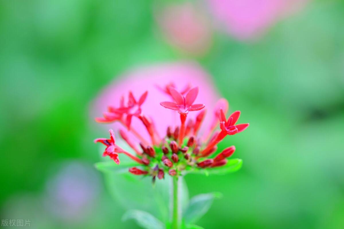 简短唯美句子24句，让人看一眼就心动