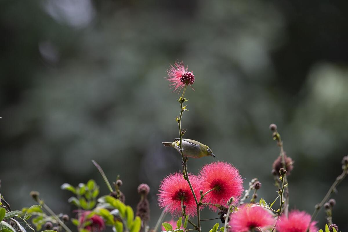简短唯美句子24句，让人看一眼就心动