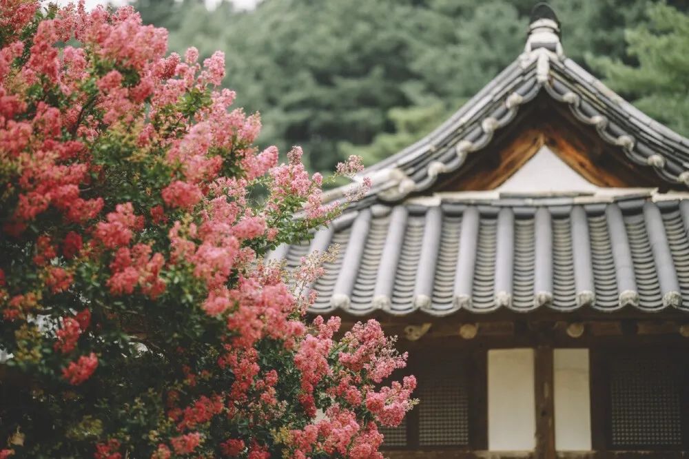 滕王阁序名句10句（原文、译文及感悟）