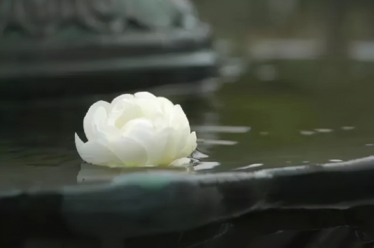 滕王阁序名句10句（原文、译文及感悟）