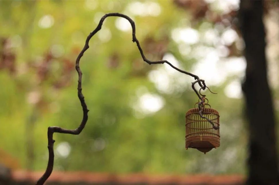 滕王阁序名句10句（原文、译文及感悟）