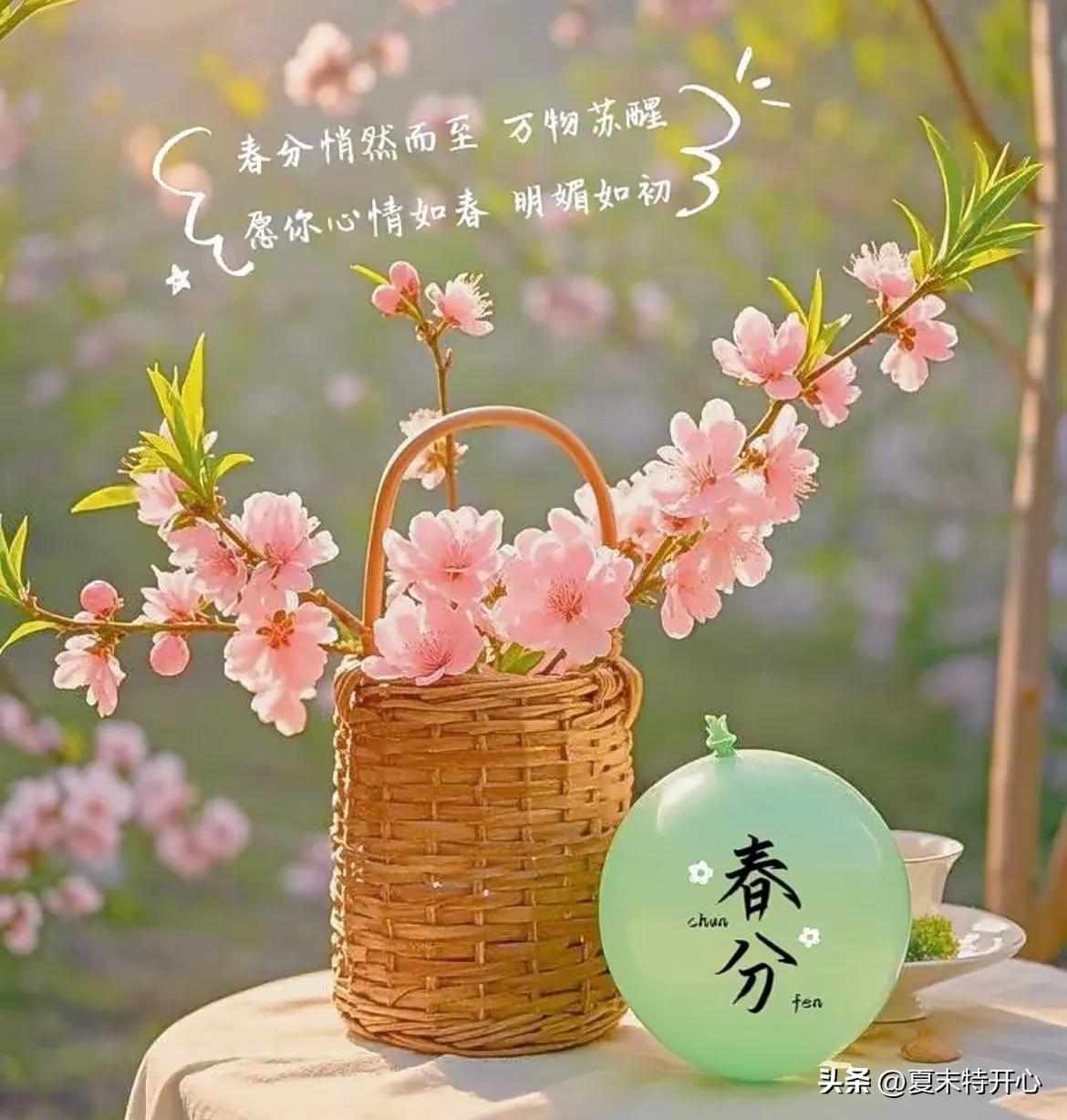 春分的文案16句，又是一年春好日