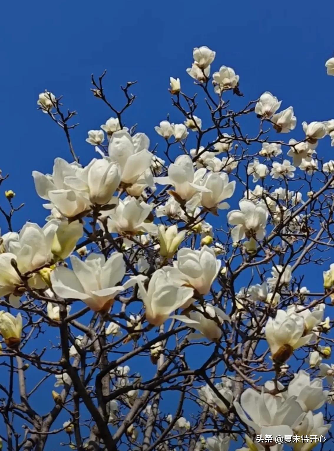 春分的文案16句，又是一年春好日