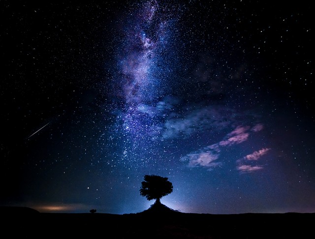 人生金句20句，活在当下，珍惜眼前