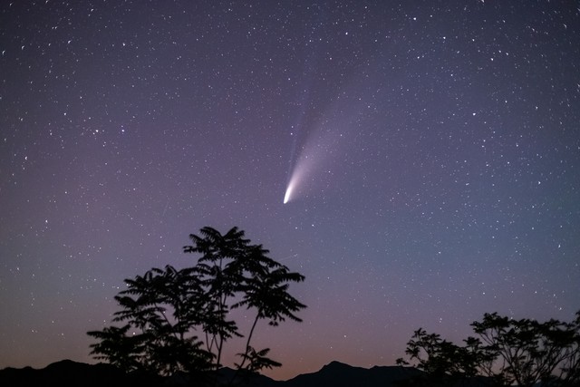 人生金句20句，活在当下，珍惜眼前