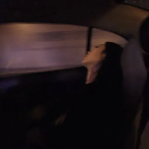 心情不好的句子发朋友圈7句，感觉每天都过得好累