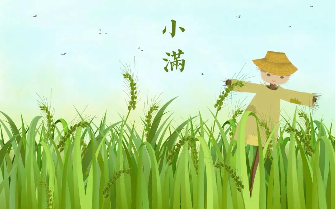 小满经典诗句18首，遇见最美小满节气