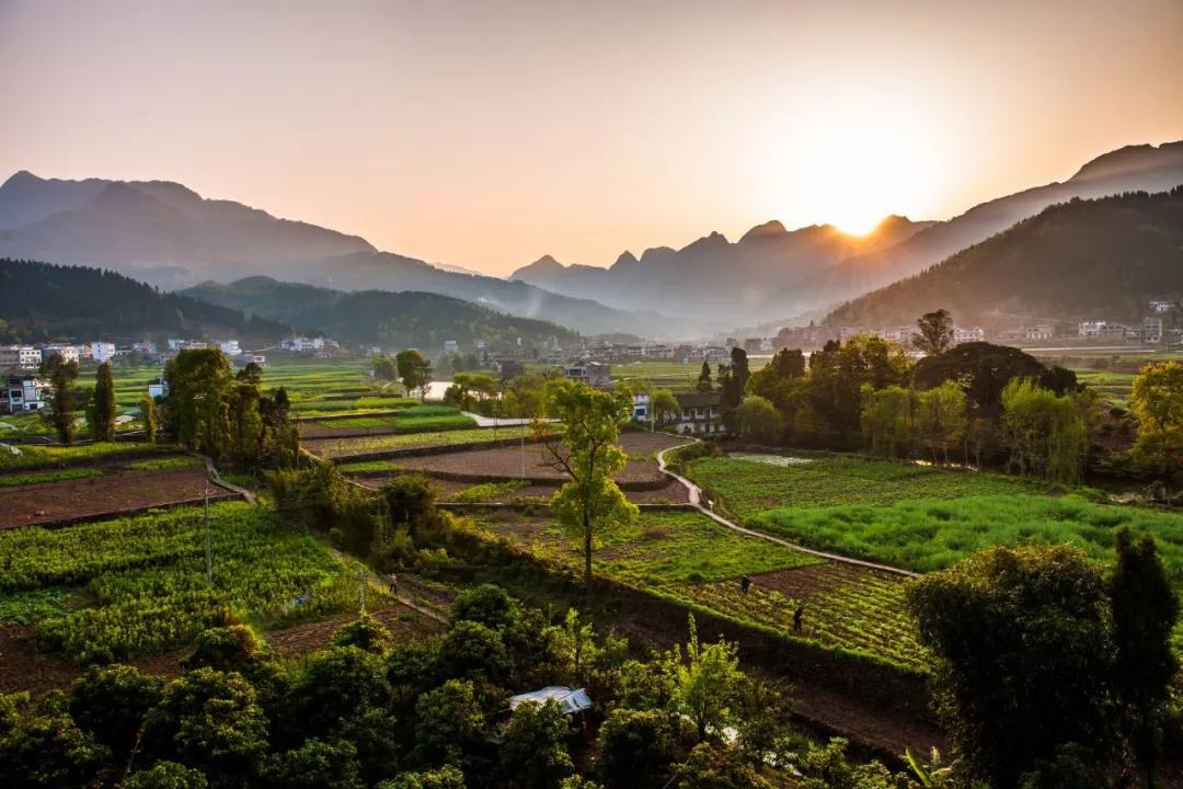 小满经典诗句18首，遇见最美小满节气