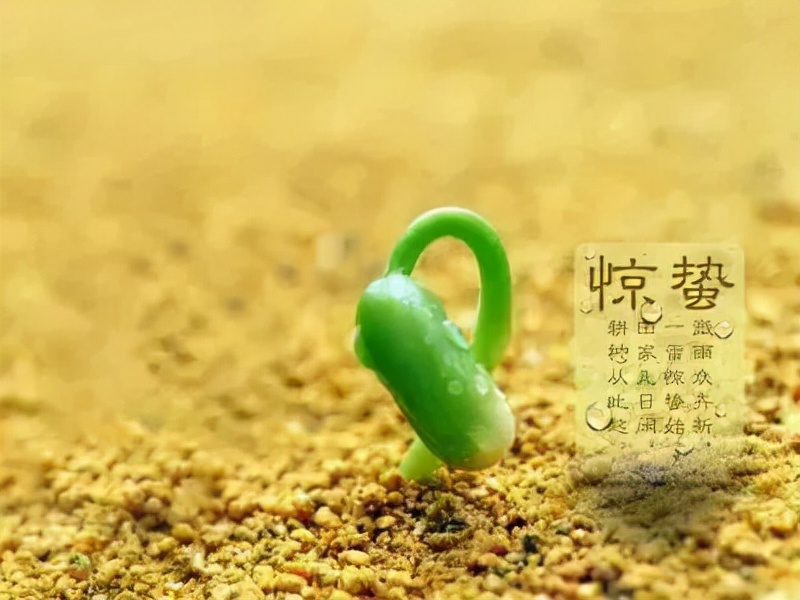 惊蛰节气的古诗10首，感受春日之美