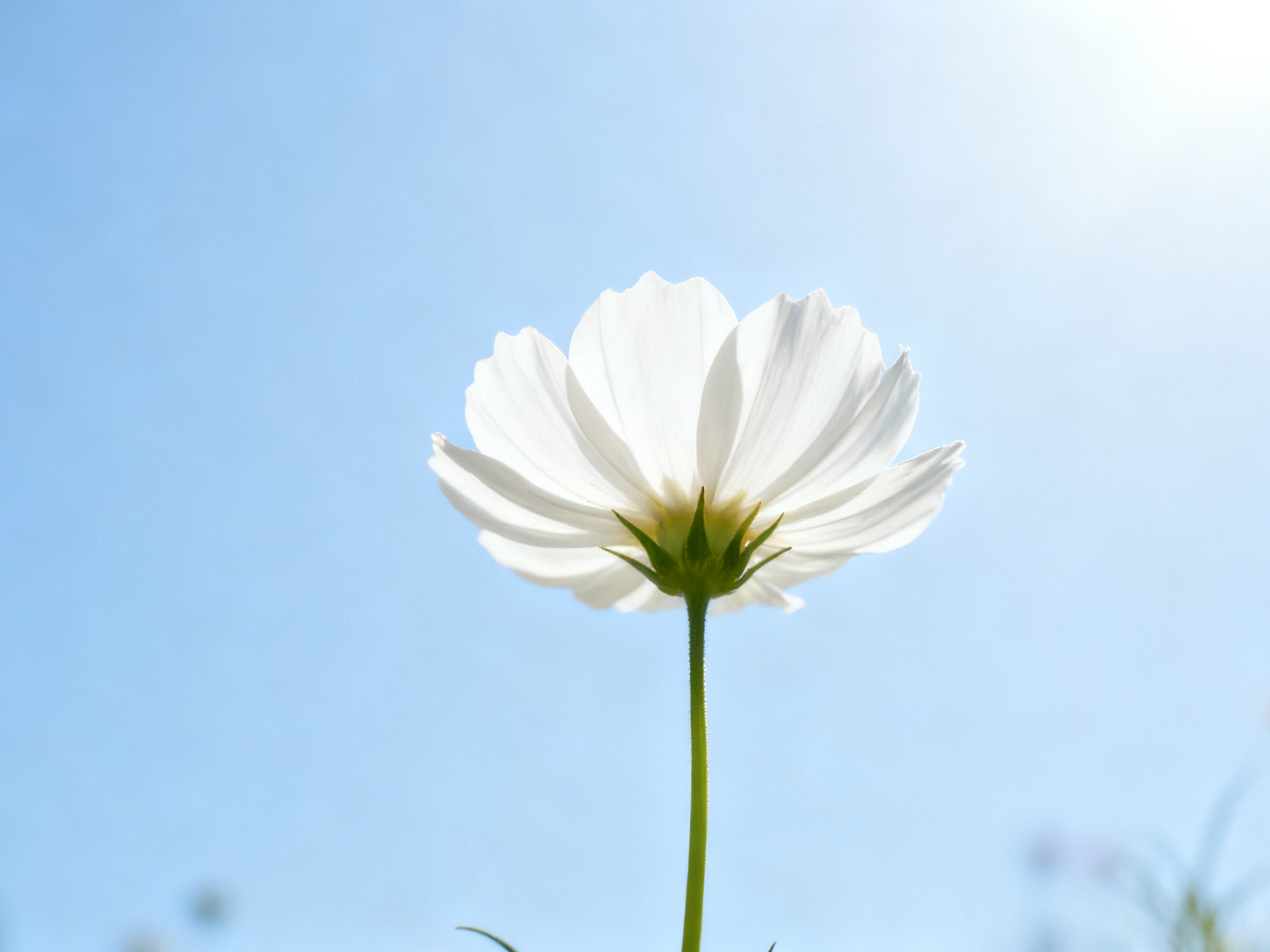 最凄凉最悲伤的句子6句，让你无法释怀!