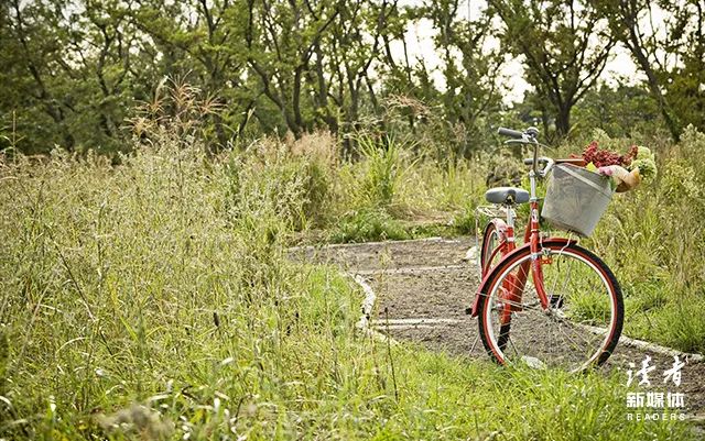 宫崎骏经典语录10句，温暖地触碰心灵