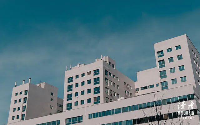 宫崎骏经典语录10句，温暖地触碰心灵