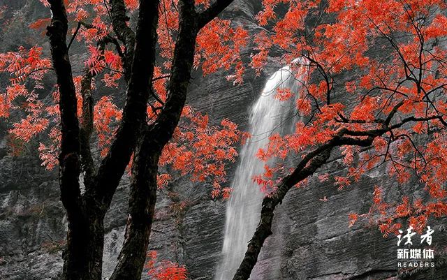 博尔赫斯语录10句，浪漫到极致