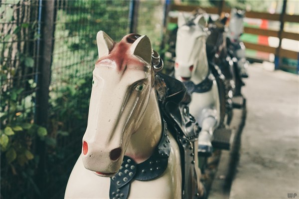 情人节发朋友圈的句子27句，甜蜜暖心，深情撩人