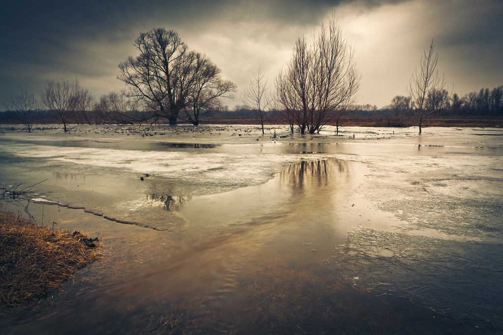 辛弃疾的词20首，值得一品再品