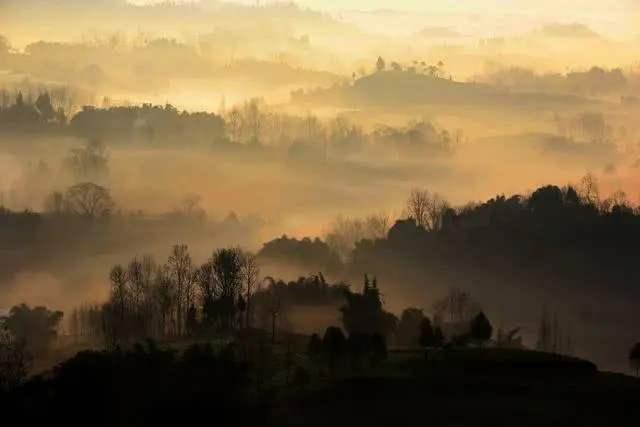 芙蓉楼送辛渐古诗（原文及解析）